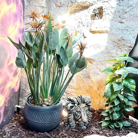 Le Jardin Secret
